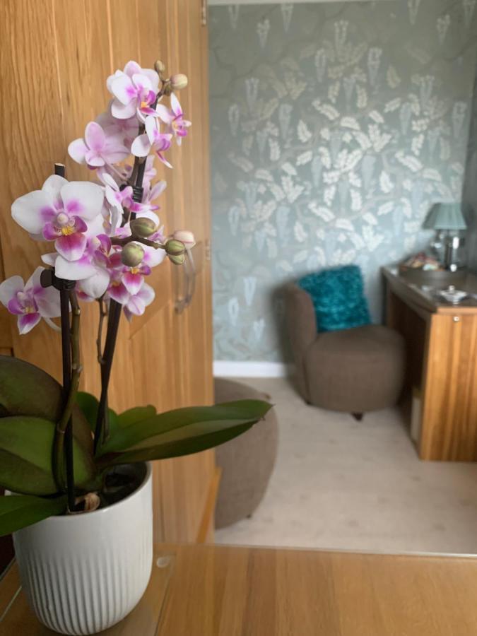 سانت دافيدز Ramsey House - Luxury Licensed B&B - Parking And Guest Lounge المظهر الخارجي الصورة